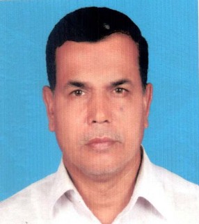মোঃ আমিনার রহমান প্রধান